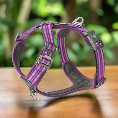 Comfort Harness | Highly Reflective