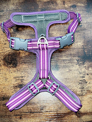 Comfort Harness | Highly Reflective