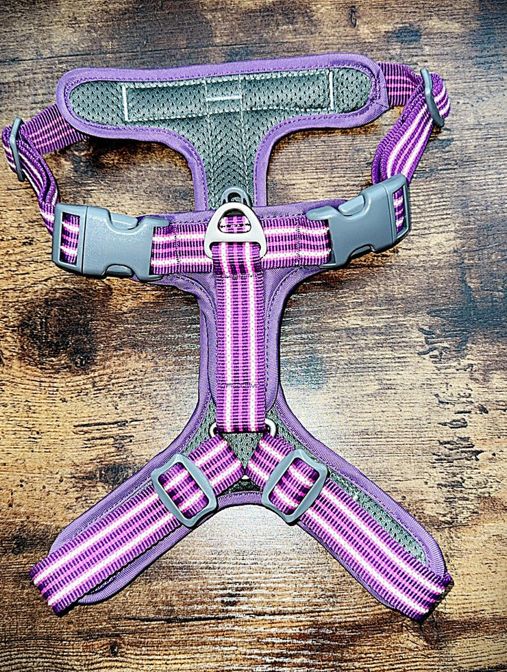 Comfort Harness | Highly Reflective