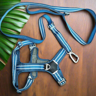 Comfort Harness & Lead Set
