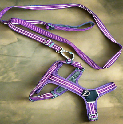 Comfort Harness & Lead Set